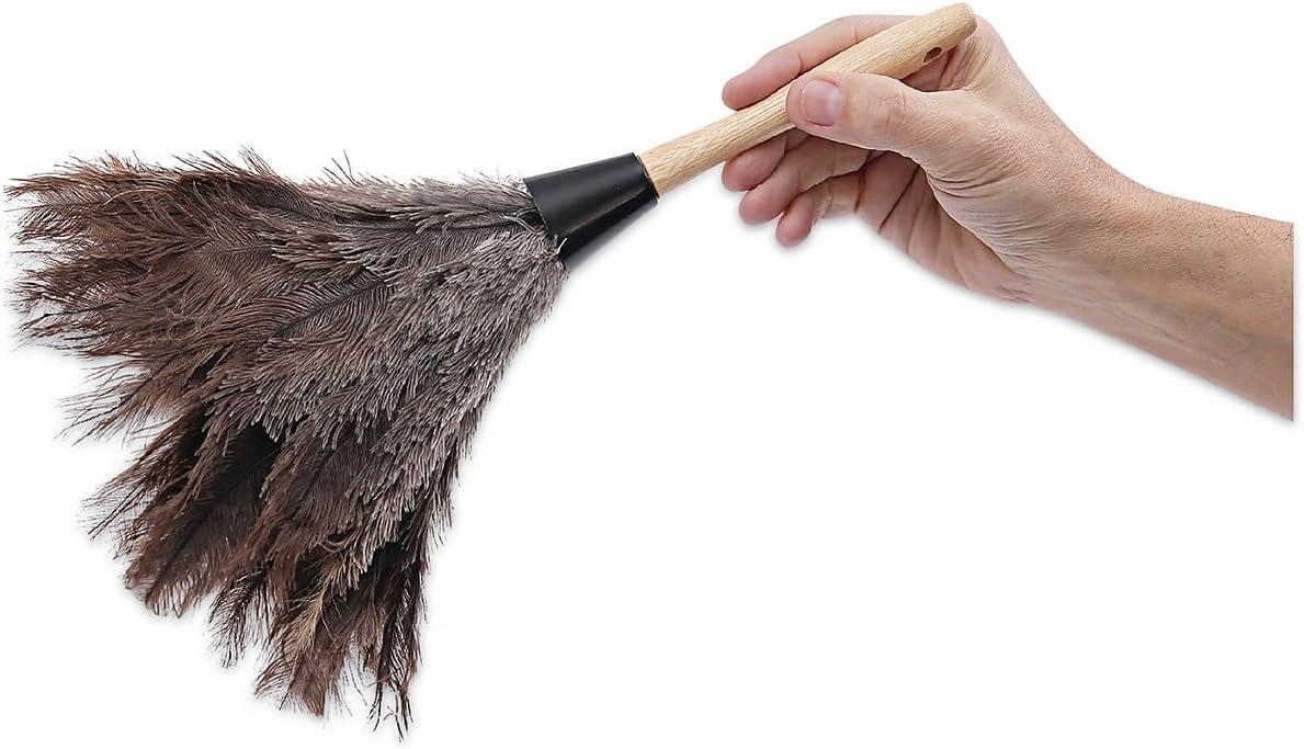 image:imageBoardwalk BWK14FD 14 in Professional Ostrich Feather Duster Gray