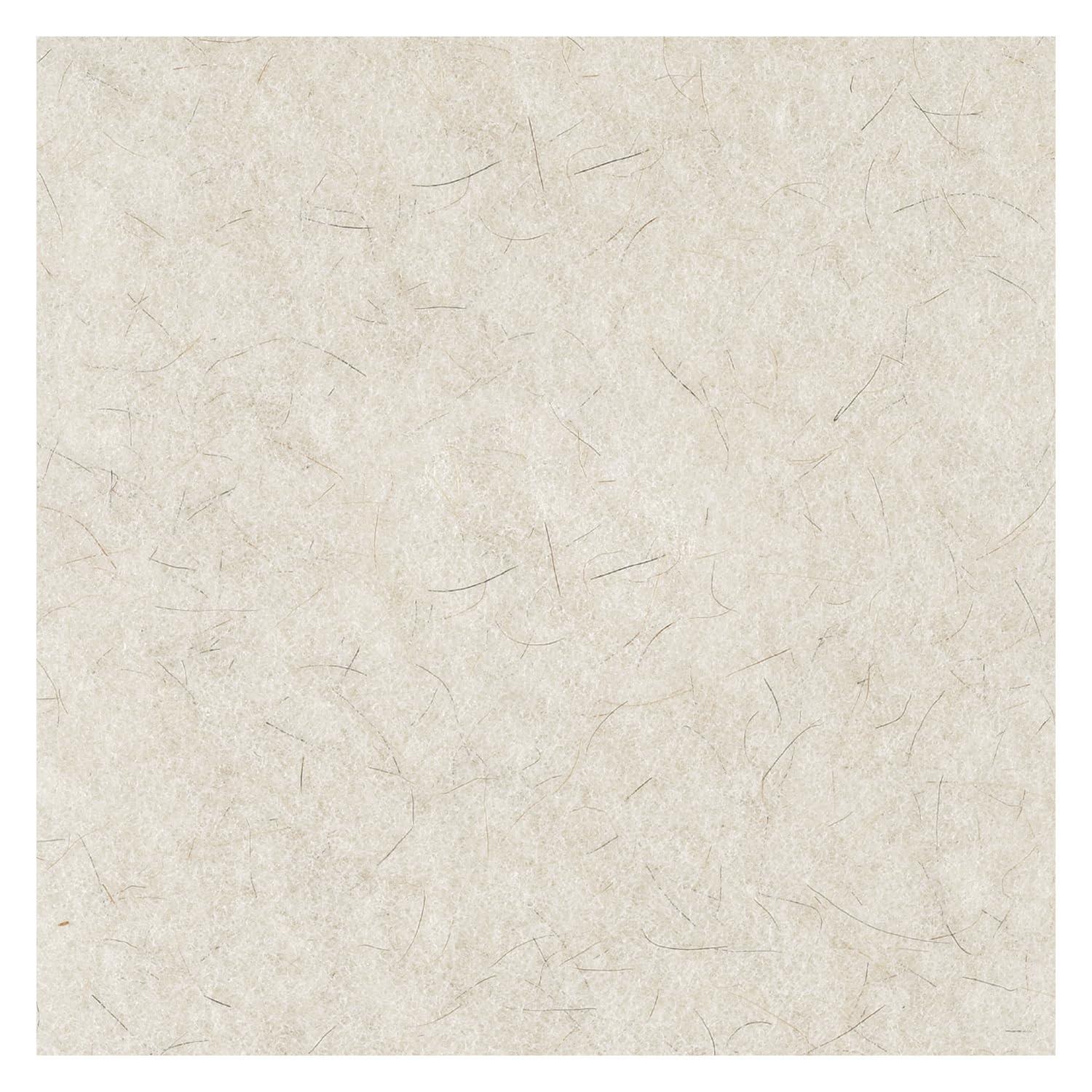 image:imageBoardwalk BWK4019NAT 19 in Diameter Burnishing Floor Pads Natural White 5Carton