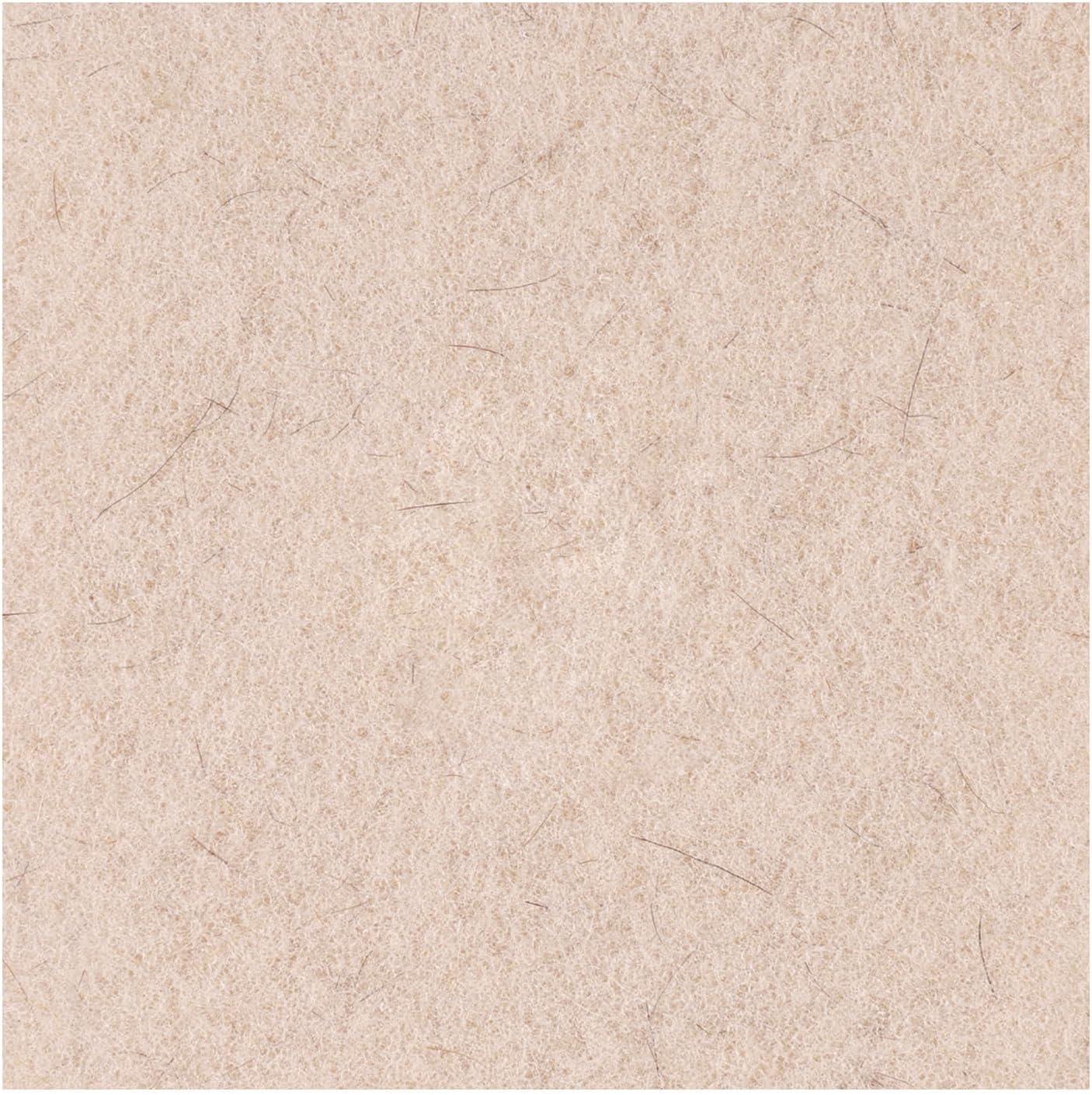 image:imageBoardwalk BWK4019NHE 19 in Diameter Natural Hog Hair Burnishing Floor Pads Beige 5Carton