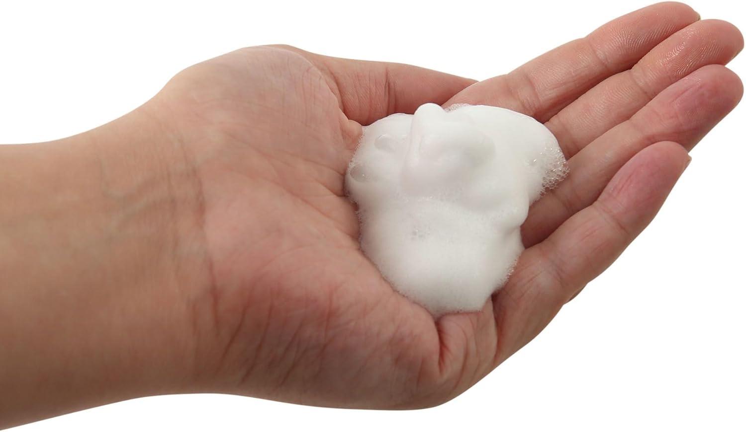 image:imageBoardwalk Foaming Hand Soap Herbal Mint Scent 1 gal Bottle