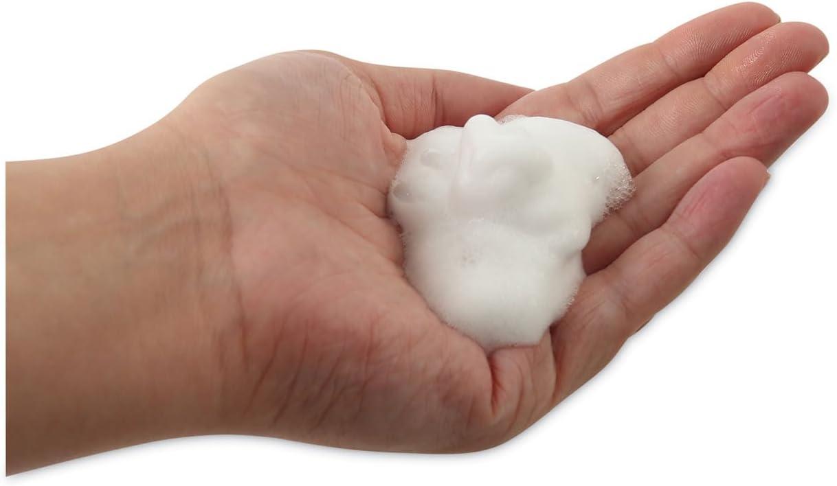 image:imageBoardwalk Foaming Hand Soap Herbal Mint Scent 1 gal Bottle