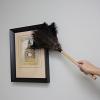 Boardwalk 20BK Professional Ostrich Feather Duster, 10″ Handle