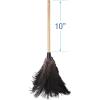 Boardwalk 20BK Professional Ostrich Feather Duster, 10″ Handle