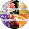 Fresh Products FRS EBC72 CBLBX Eco-Fresh Bowl Clip, Cotton Blossom, Blue (Pack of 12)(Variety Pack)